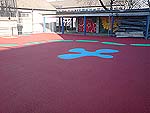 St. Brigid’s N.S. Palmerstown